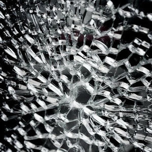 Meet your Posher, Dakota